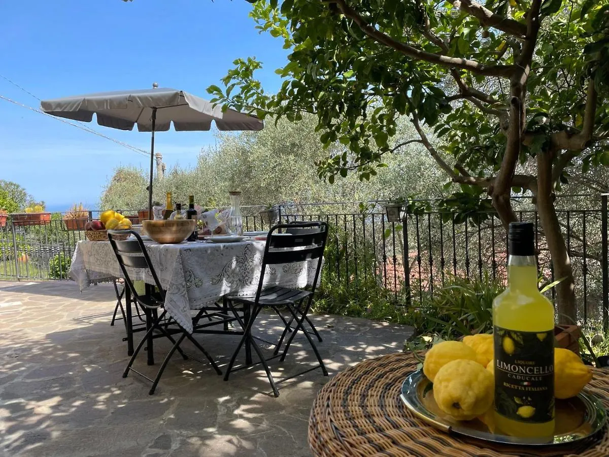 Apartment Casa Dei Fiori By Interhome Lingueglietta Italy